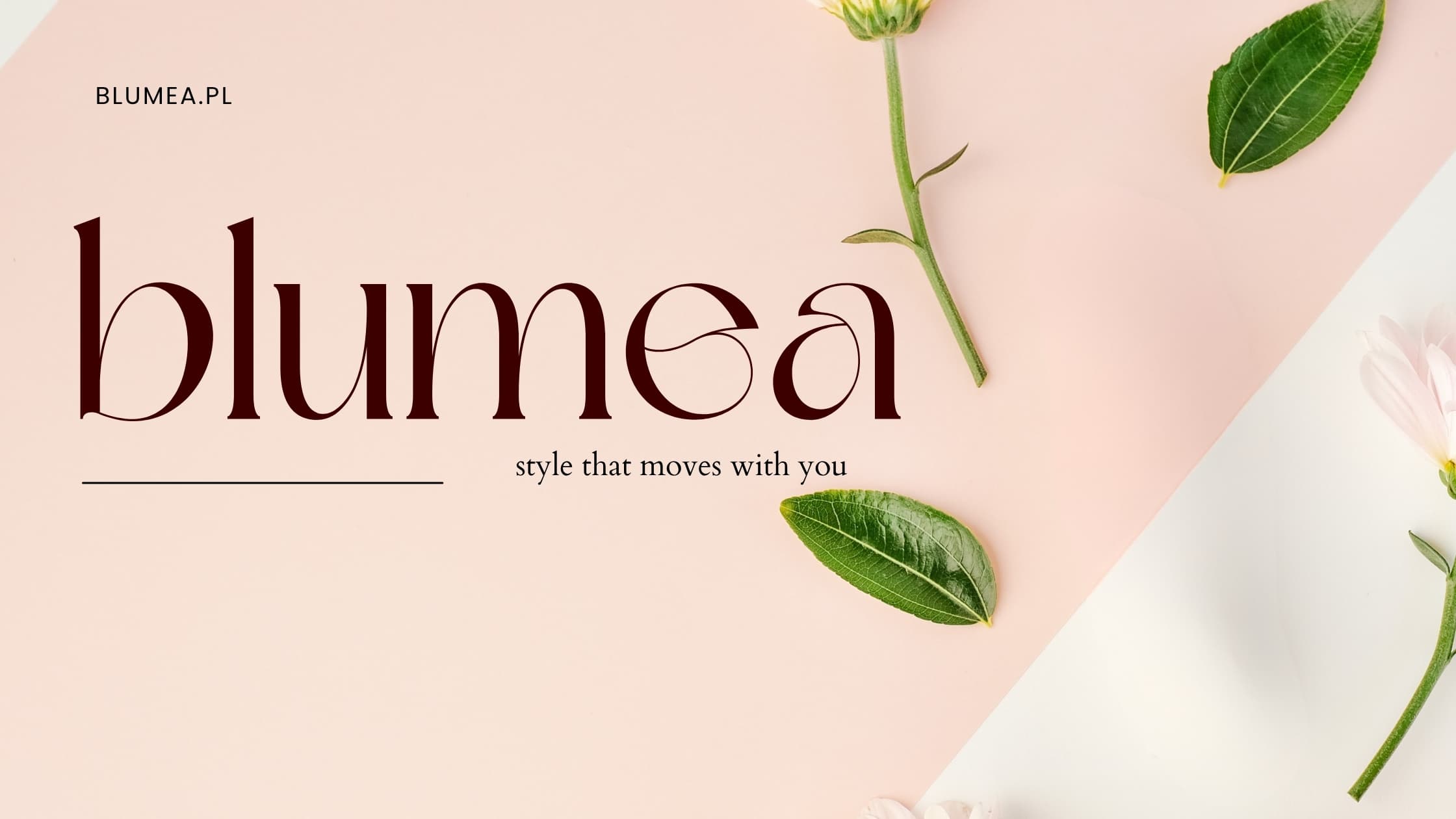 Banner background